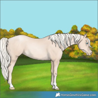 Horse Color:Gold Cream Champagne Pearl 
