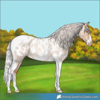 Horse Color:Silver Sable Champagne Roan Dun Splash Tobiano Frame Appaloosa Rabicano 