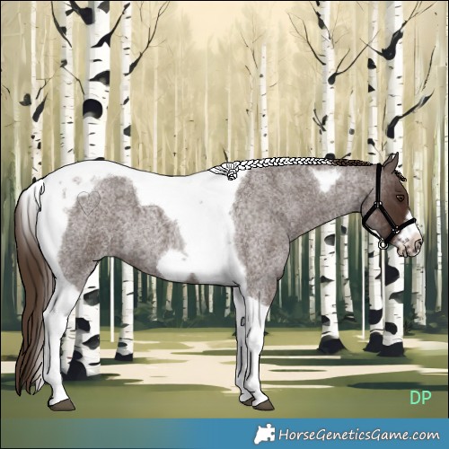 Horse Color:Liver Red Roan Tobiano Frame 