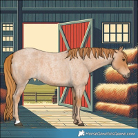 Horse Color:Red Roan 