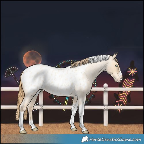 Horse Color:Gold Champagne Roan Dun Splash Tobiano Frame Blanket Rabicano 
