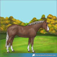 Horse Color:Silver Black 