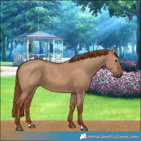 Horse Color:Red Dun 