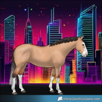 Horse Color:Bay Dun Splash