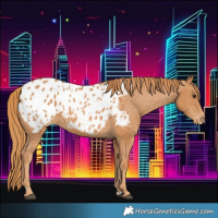 Horse Color:Chestnut Blanket