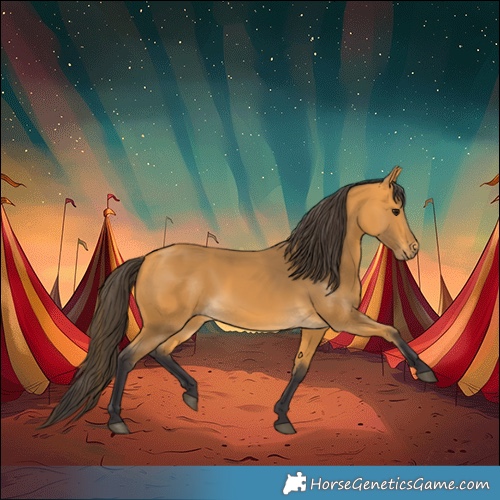 Horse Color:Buckskin