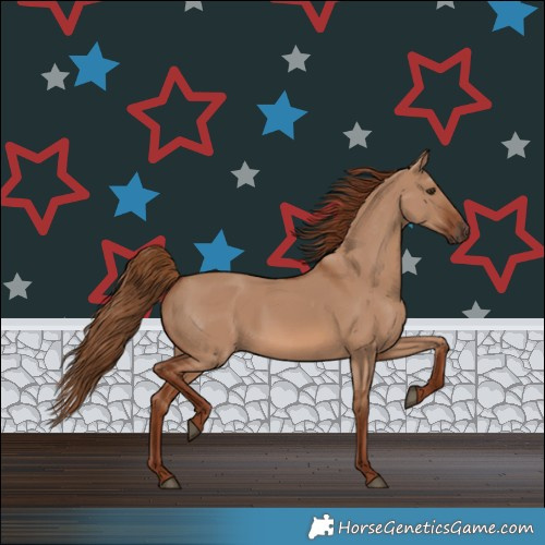 Horse Color:Red Dun 