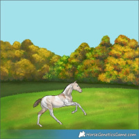 Horse Color:Bay Snowdrop Pearl Dun Tobiano Rabicano