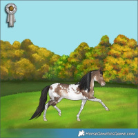 Horse Color:White Spotted Bay Dun Tobiano Varnish Rabicano 