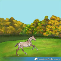 Horse Color:White Spotted Brown Pearl Dun Tobiano Varnish Rabicano 