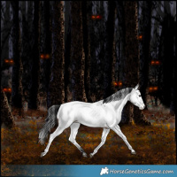 Horse Color:Brown Tobiano Near Fewspot Rabicano 