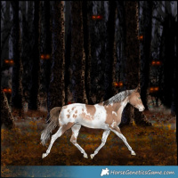 Horse Color:White Spotted Brown Pearl Tobiano Blanket Rabicano 