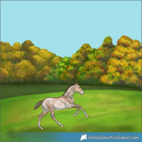 Horse Color:White Spotted Bay Pearl Dun Tobiano Varnish Rabicano 