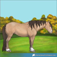 Horse Color:Amber Champagne 