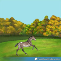 Horse Color:Bay Dun Tobiano Varnish Rabicano 