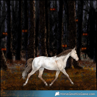 Horse Color:White Spotted Bay Pearl Dun Tobiano Blanket Rabicano 