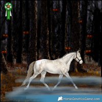 Horse Color:White Spotted Brown Snowdrop Pearl Tobiano Blanket Rabicano 