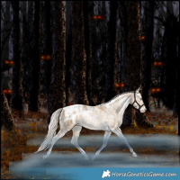 Horse Color:White Spotted Liver Red Dun Snowdrop Pearl Tobiano Blanket Rabicano 
