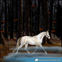 Horse Color:White Spotted Bay Snowdrop Pearl Dun Rabicano