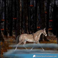 Horse Color:White Spotted Liver Red Dun Tobiano Rabicano 