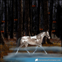 Horse Color:White Spotted Brown Dun Tobiano Blanket Rabicano
