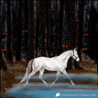 Horse Color:White Spotted Bay Snowdrop Pearl Dun Tobiano Snowflake Varnish Rabicano