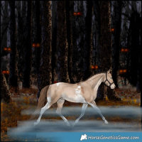 Horse Color:Bay Pearl Dun Tobiano Rabicano 