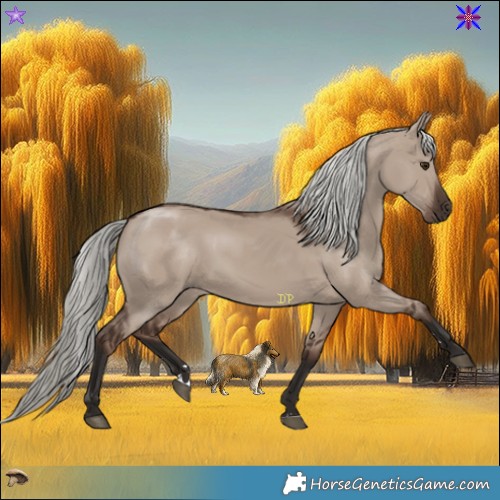 Horse Color:Liver Red Dun Mushroom Rabicano