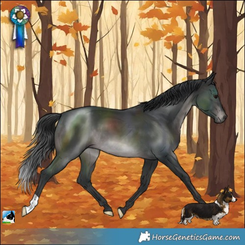 Horse Color:Platinum Brown 