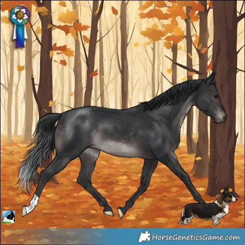 Horse Color:Platinum Brown