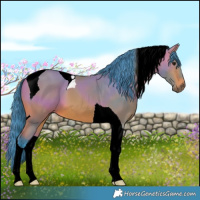 Horse Color:Watercolor Bay Tobiano