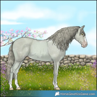 Horse Color:Watercolor Gold Champagne