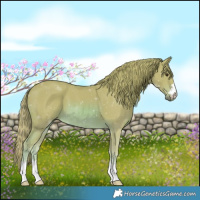 Horse Color:Watercolor Chestnut
