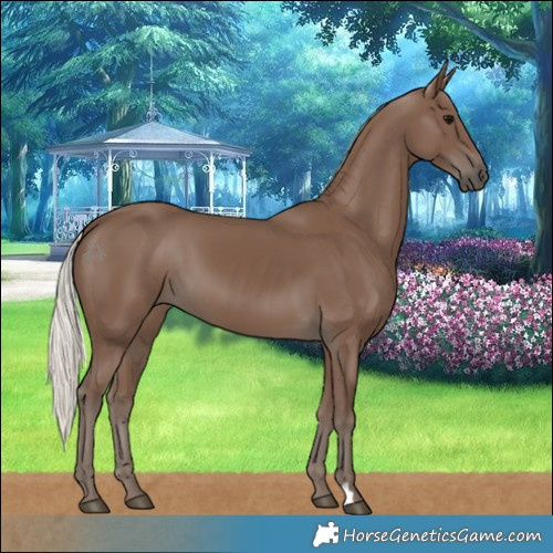 Horse Color:Silver Black 