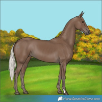 Horse Color:Silver Black 