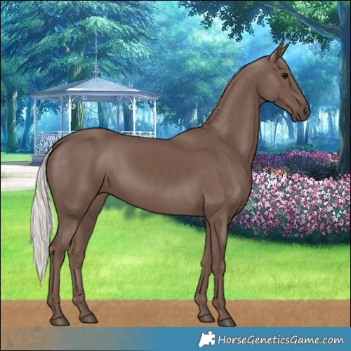 Horse Color:Silver Black 