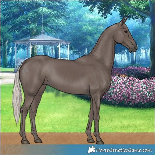 Horse Color:Silver Black 