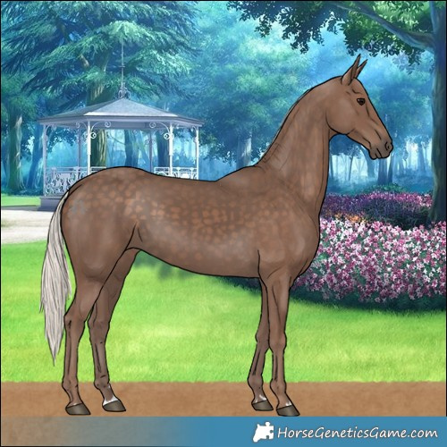 Horse Color:Silver Black 