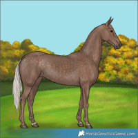Horse Color:Silver Black 