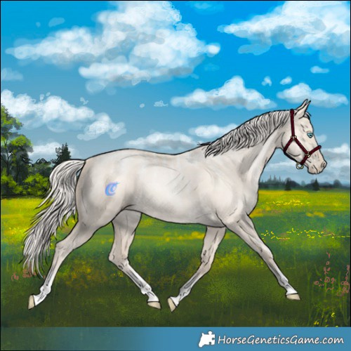 Horse Color:Powder White Gold Champagne Snowdrop Pearl Dun 
