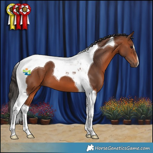 Horse Color:Bay Tobiano 