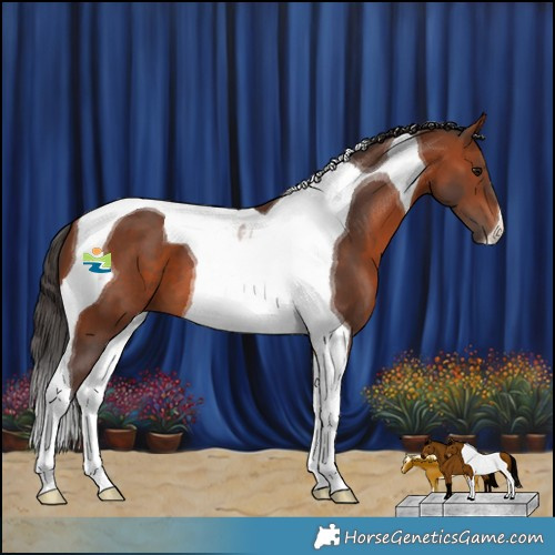 Horse Color:Bay Tobiano