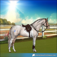 Horse Color:Brown Roan Pearl Merle Tobiano Rabicano and Brown Roan Pearl Merle Tobiano Rabicano