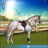 Horse Color:Brown Roan Pearl Merle Tobiano Rabicano  and Brown Roan Pearl Merle Tobiano Rabicano 