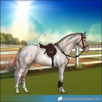Horse Color:Brown Roan Pearl Merle Tobiano Rabicano  and Brown Roan Pearl Merle Tobiano Rabicano 