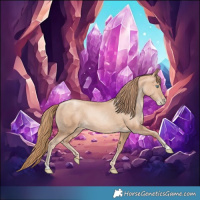 Horse Color:Gold Champagne Pearl Rabicano and Gold Champagne Pearl Rabicano