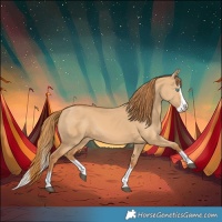 Horse Color:Red Dun Splash