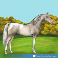 Horse Color:Silver Smoky Black Pearl Tobiano 