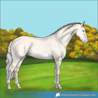 Horse Color:Cremello Dun Tobiano
