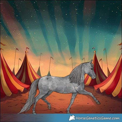 Horse Color:Black Merle Varnish 